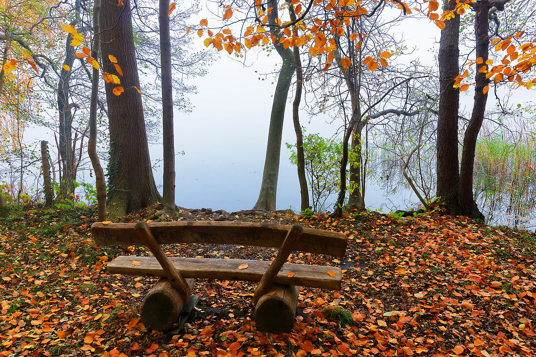 Caputher See in Caputh, municipality of Schwielowsee near Potsdam, Brandenburg, Germany