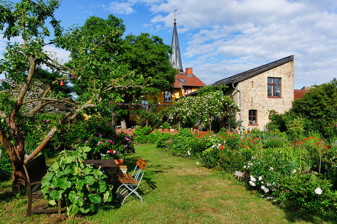 Garten in Geltow, Gemeinde Schwielowsee, Havelland, Land Brandenburg, Deutschland