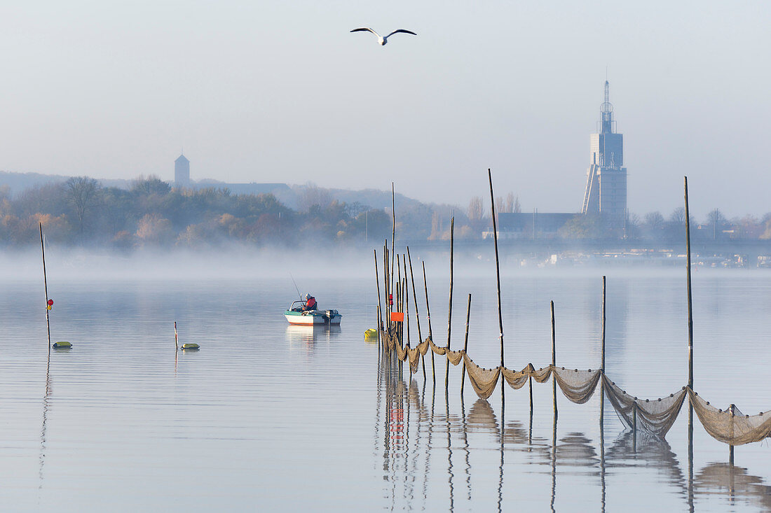 Angler auf der Havel im Morgennebel, Tiefer See, ehemaliger Brandenburger Landtag und Heilig Geist Stift im Hintergrund, Potsdam, Land Brandenburg, Deutschland