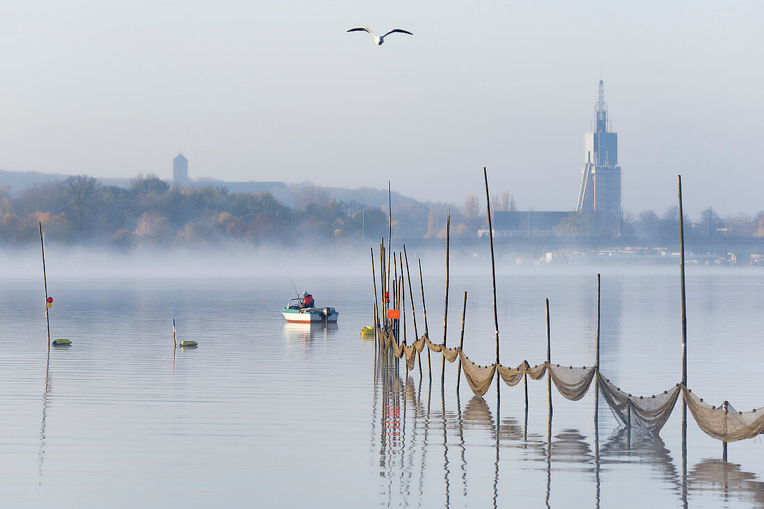 Angler on the Havel in the morning mist, Tiefer See, former Brandenburg state parliament and Heilig Geist Stift in the background, Potsdam, Brandenburg, Germany