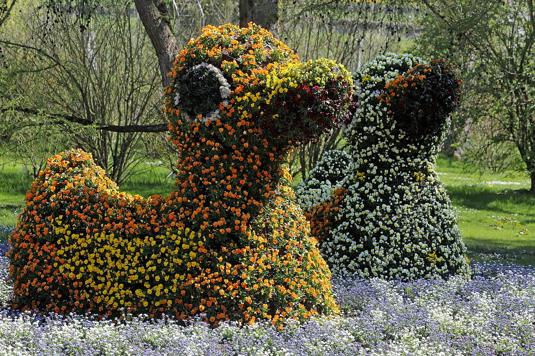 Ducks made of flowers, Mainau Island, Baden-Wuerttemberg, Germany