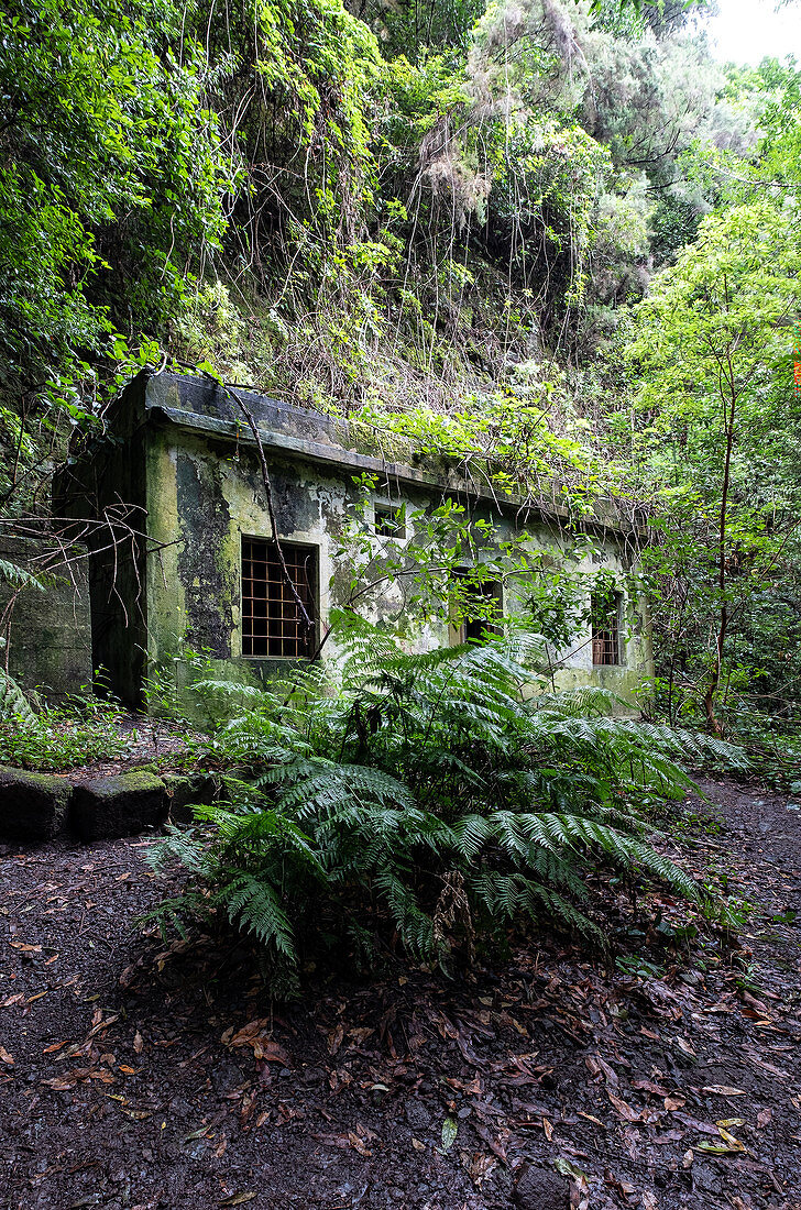 View of an old generator house on a hiking trail in the laurel forest of Los Tilos, UNESCO biosphere reserve, La Palma, Canary Islands, Spain, Europe