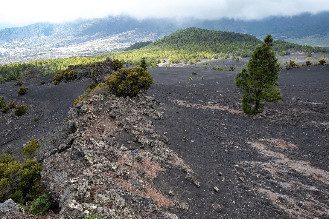Vulkanlandschaft bei Llanos del Jable, La Palma, Kanarische Inseln, Spanien, Europa