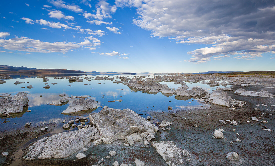 Beach on the east bank of Mono Lake in summer, California, USA