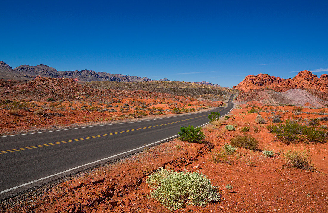 Road through the desert in the Valley of Fire, USA