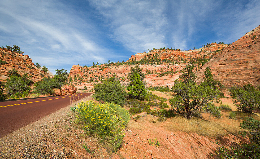 Road through Zion National Park, USA