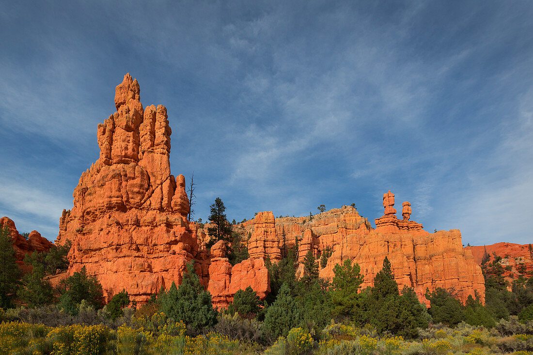 Felsen des Red Canyon in Utah, USA\n