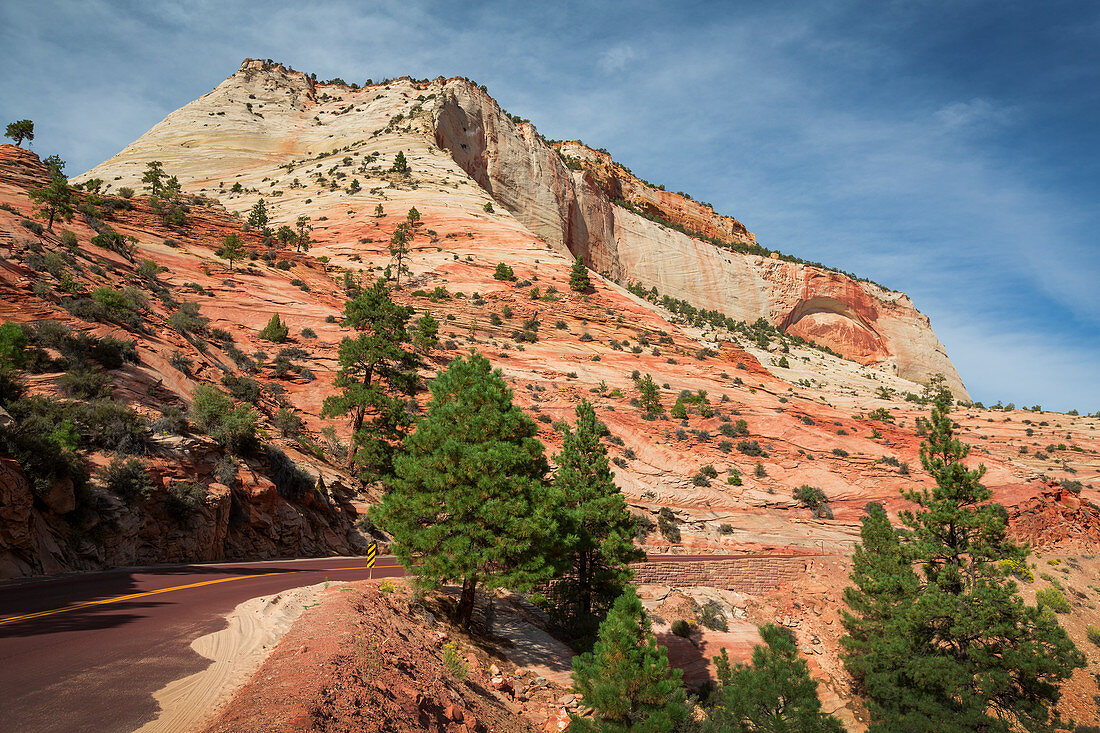 Road through Zion National Park, USA