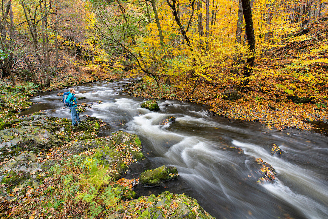 Indian Summer in the Bodeschlucht near Thale in the Harz Mountains