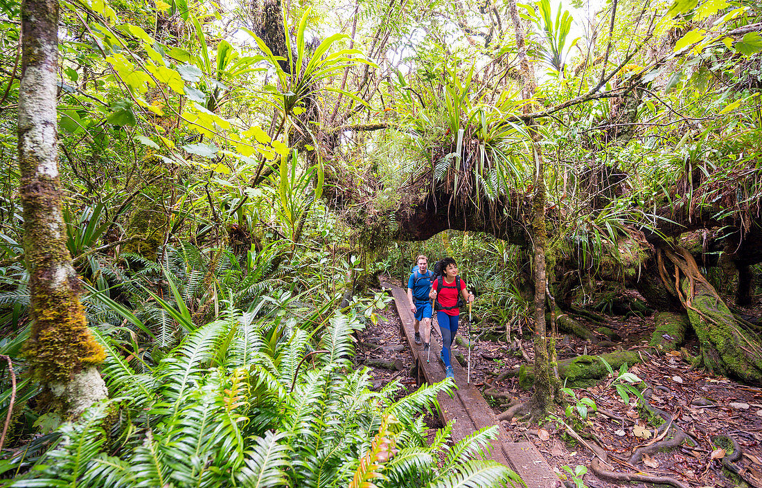 Trekking on the tropical island of Reunion in the Indian Ocean, which is part of France