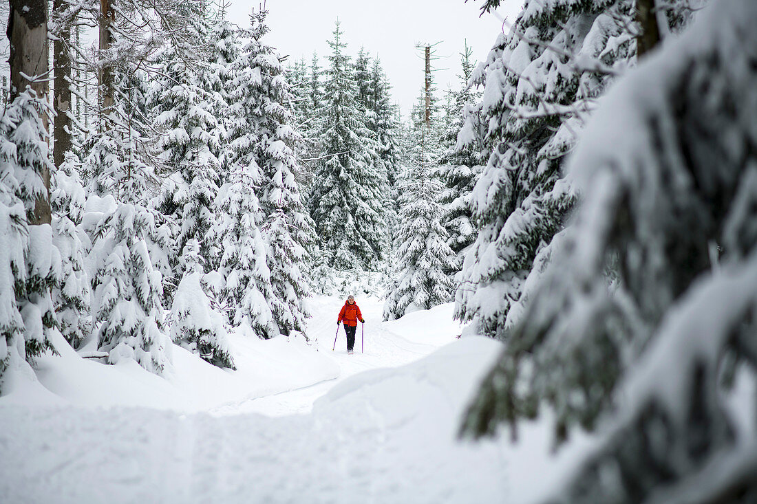 Schneeschuhwanderung im Oberharz, Deutschland