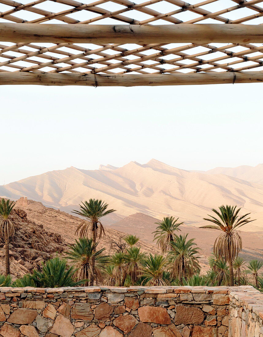 Palmen umgeben von Natursteinmauer, Marokko