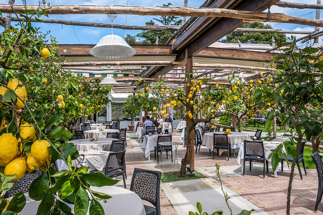 Limonengarten im Restaurant La Zagara in Anacapri, Insel Capri, Golf von Neapel, Italien