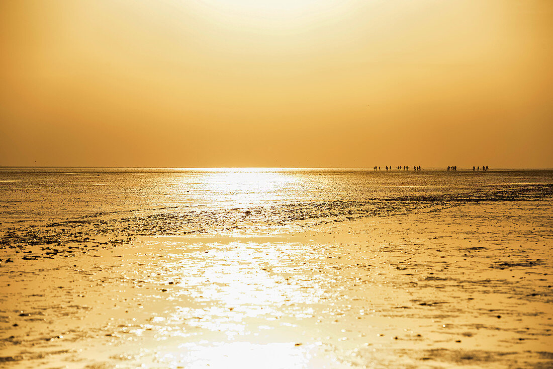 Menschengruppe wandert über das offene Meer bei Ebbe. Wattenmeer, Ostfriesland, Nordsee, Europa. Insel Juist