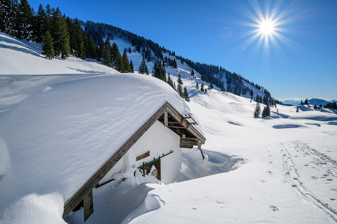 Verschneite Almhütte, Oberwiesenalm, Chiemgauer Alpen, Oberbayern, Bayern, Deutschland