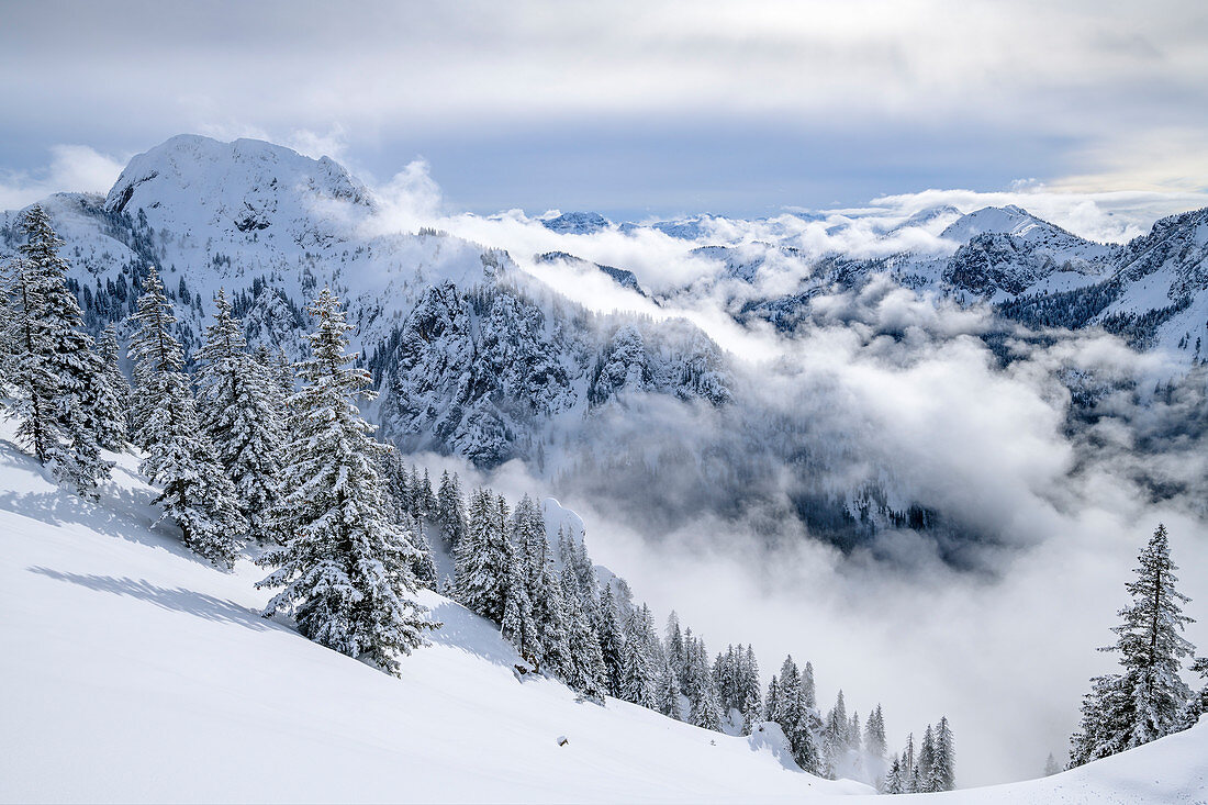 Winterwald mit Nebelstimmung, Hoher Straußberg im Hintergrund, am Tegelberg, Ammergauer Alpen, Schwaben, Bayern, Deutschland