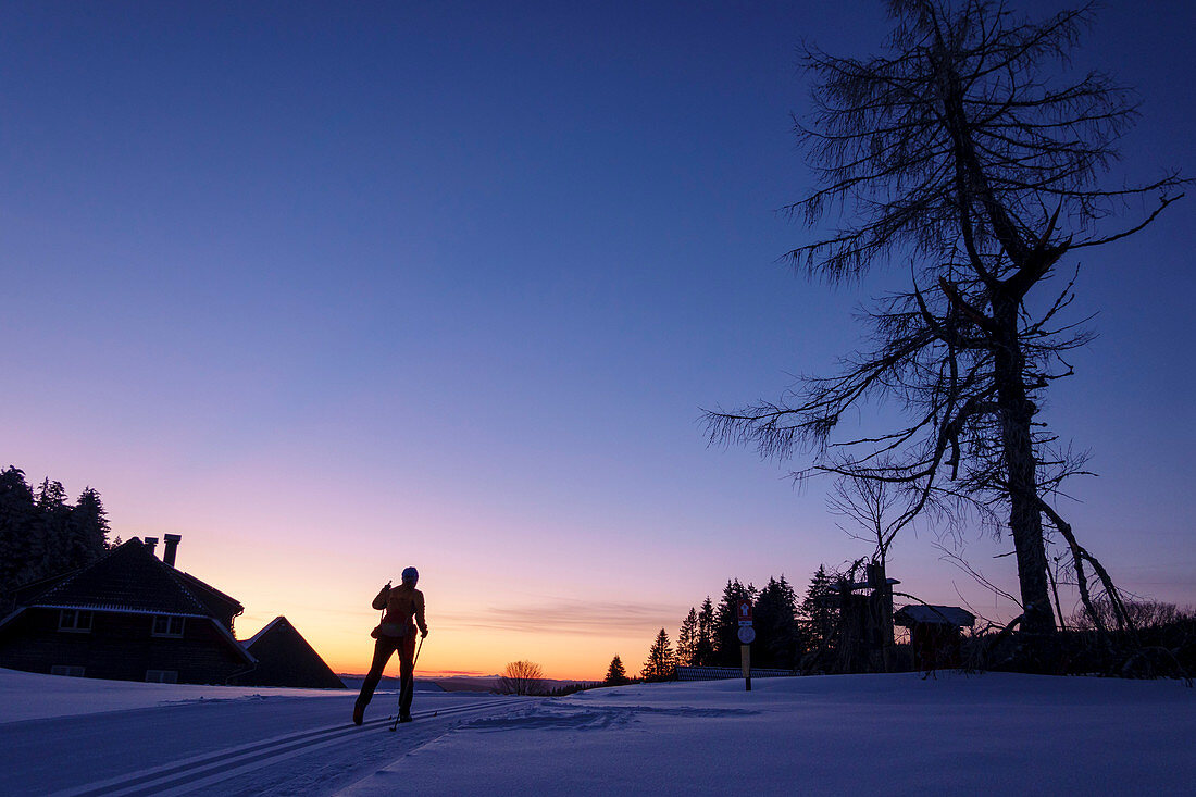 Frau beim Langlaufen läuft in der Morgendämmerung, Skifernwanderweg Schonach-Belchen, Schwarzwald, Baden-Württemberg, Deutschland
