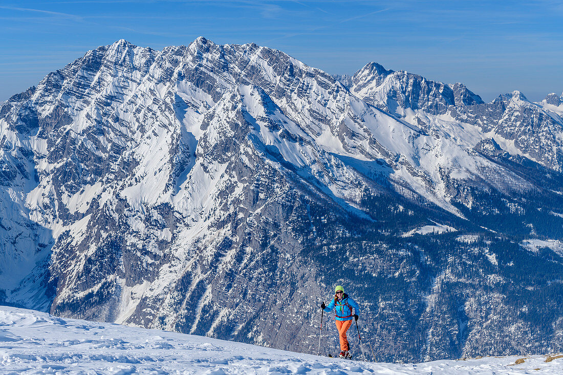 Frau auf Skitour steigt auf, Watzmann im Hintergrund, Kleine Reibn, Schneibstein, Berchtesgadener Alpen, Nationalpark Berchtesgaden, Berchtesgaden, Oberbayern, Bayern, Deutschland