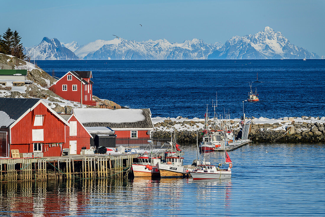 Norwegische Fischerhäuser am Meer mit Bergen im Hintergrund, Klingenberg, Lofoten, Nordland, Norwegen