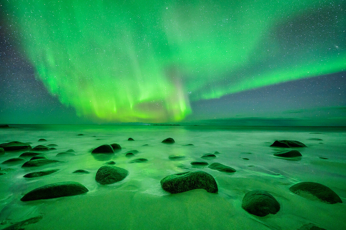 Polarlicht über Meeresbucht, Polarlicht, Nordlicht, Lofoten, Nordland, Norwegen