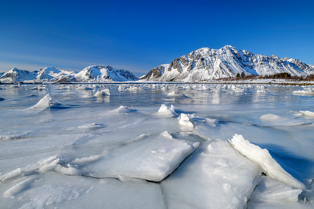 Eisschollen am Meer vor verschneiten Bergen, Lofoten, Nordland, Norwegen