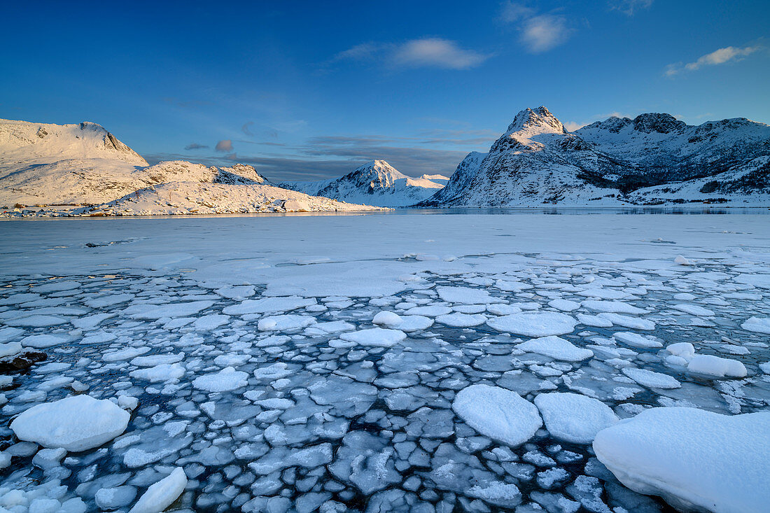 Eisschollen treiben in Meeresbucht, verschneite Berge im Hintergrund, Lofoten, Nordland, Norwegen