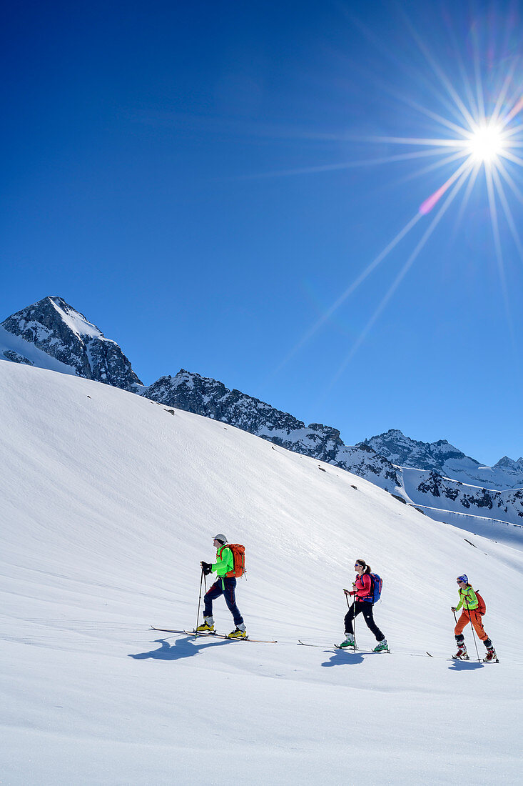 Three people on a ski tour ascend to the Schneekarspitze, Schneekarspitze, Zillertal Alps, Zillertal, Tyrol, Austria