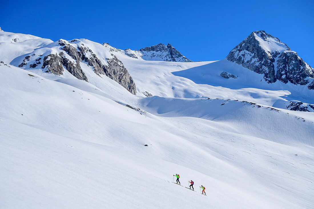 Three people on a ski tour ascend to the Schneekarspitze, Schneekarspitze, Zillertal Alps, Zillertal, Tyrol, Austria