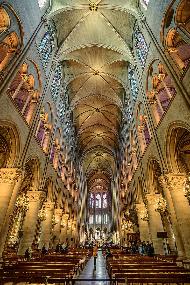 Nave of the Notre-Dame cathedral, Ile de la Cite, UNESCO World Heritage Seine bank, Paris, France