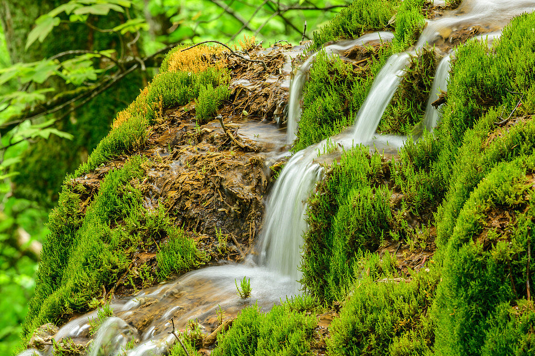 Stream flows over mossy steps, Gütersteiner waterfall, Bad Urach, Swabian Jura, Baden-Württemberg, Germany