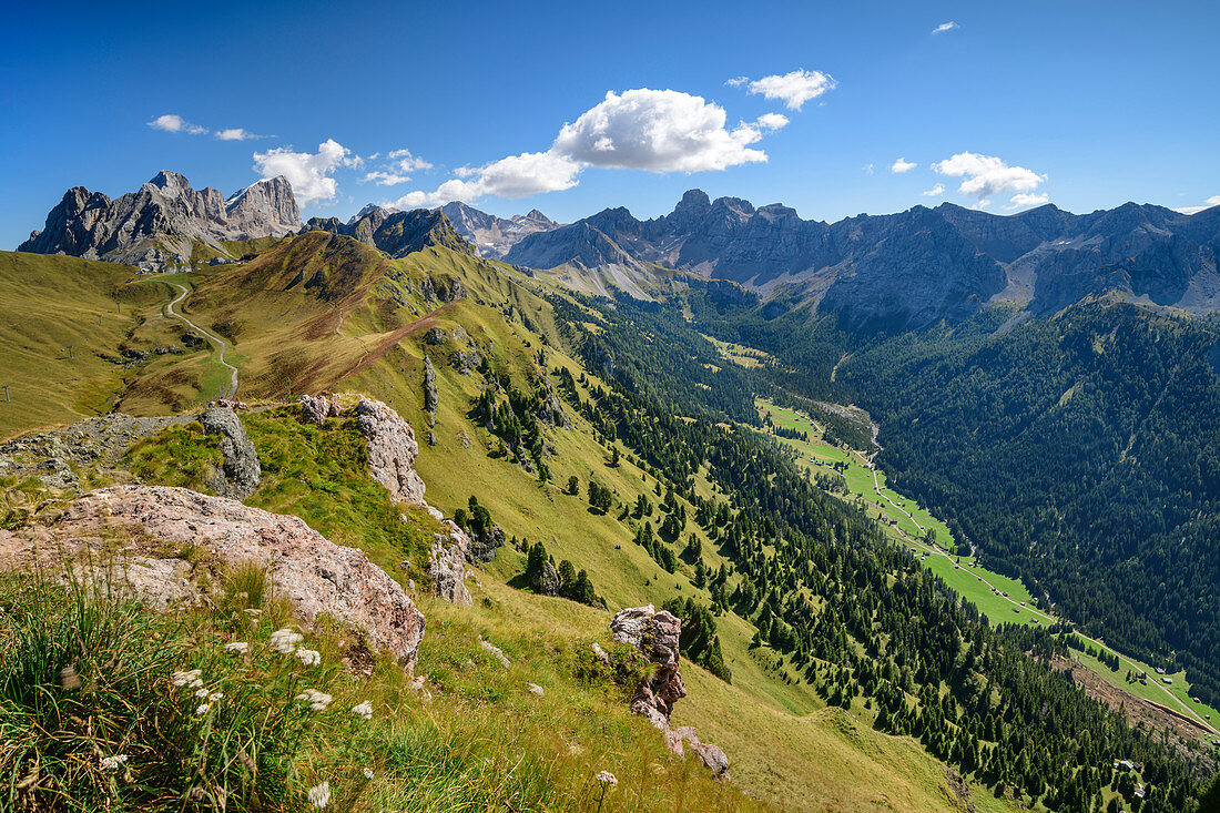 Mountain meadows in front of the Marmolada group, Val San Nicolo and Uomo group, Sass d´Adam, Dolomites, UNESCO World Heritage Dolomites, South Tyrol, Italy