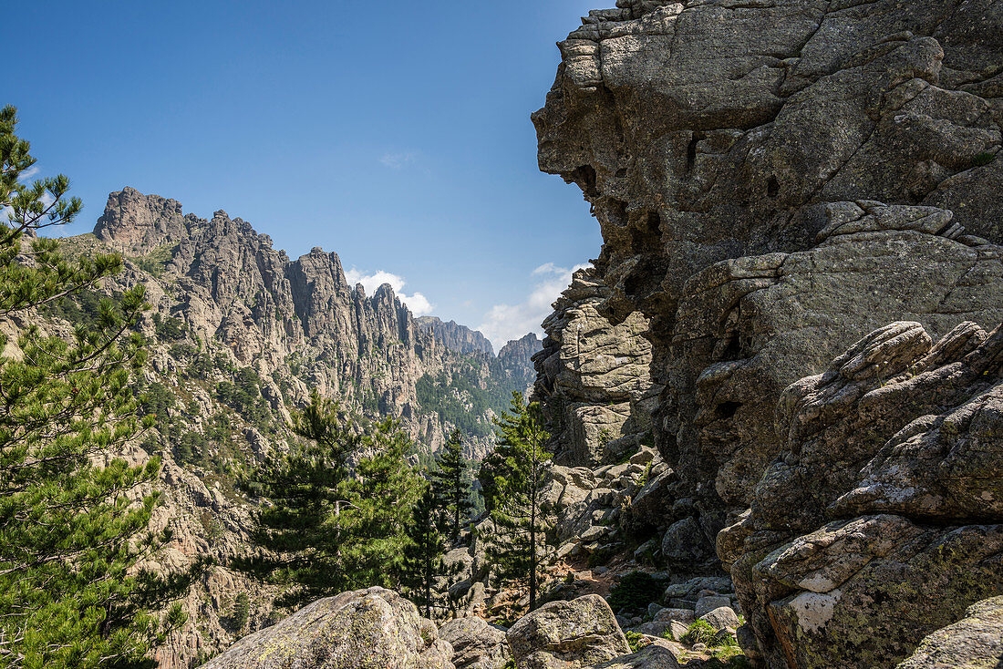 Massif with rocky mountain peaks and pine trees, Col de Bavella, Bavella massif, Corsica, France