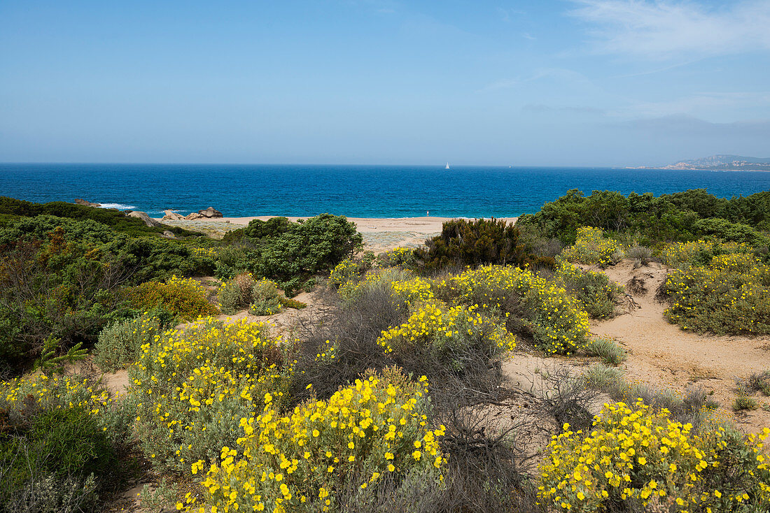 einsamer Strand, Roccapina, bei Sartène, Département Corse-du-Sud, Korsika, Frankreich
