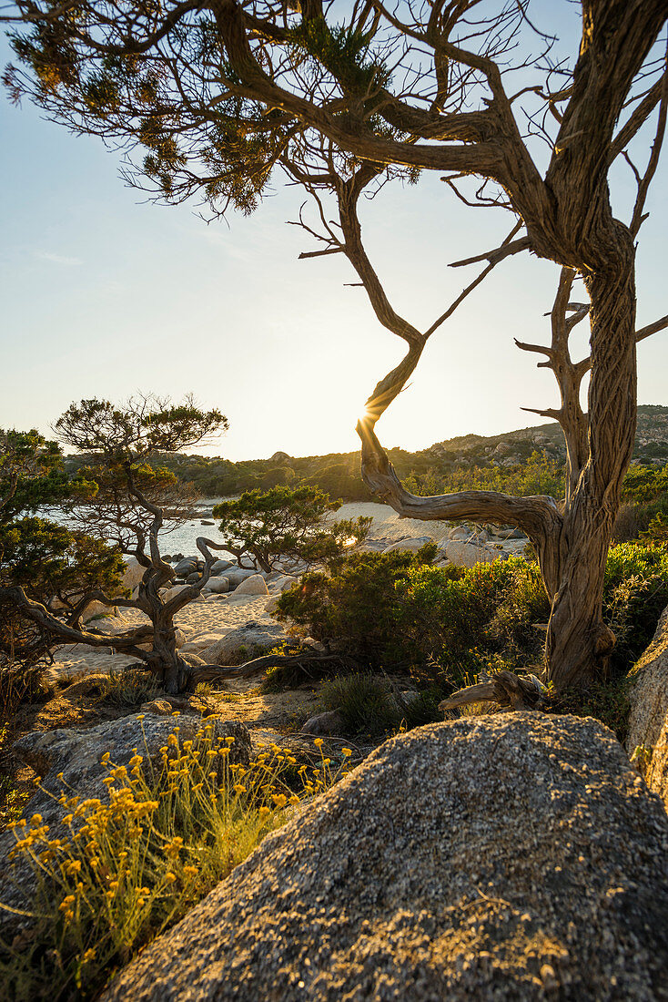 Küstenlandschaft und einsamer Sandstrand, bei Sartène, Département Corse-du-Sud, Korsika, Frankreich