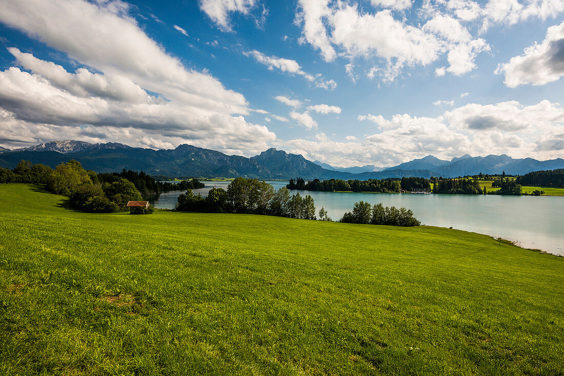Forggensee, bei Füssen, Ostallgäu, Allgäu, Bavaria, Germany