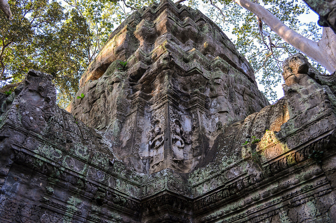 Ankor Wat, ein historischer Khmer-Tempel aus dem 12. Jahrhundert und UNESCO-Weltkulturerbe, Bögen und geschnitzter Stein mit großen Wurzeln breiten sich über das Mauerwerk