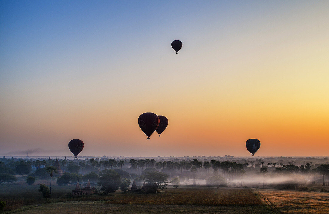 Hot air balloons over landscape with distant temples at sunset, Bagan, Myanmar.