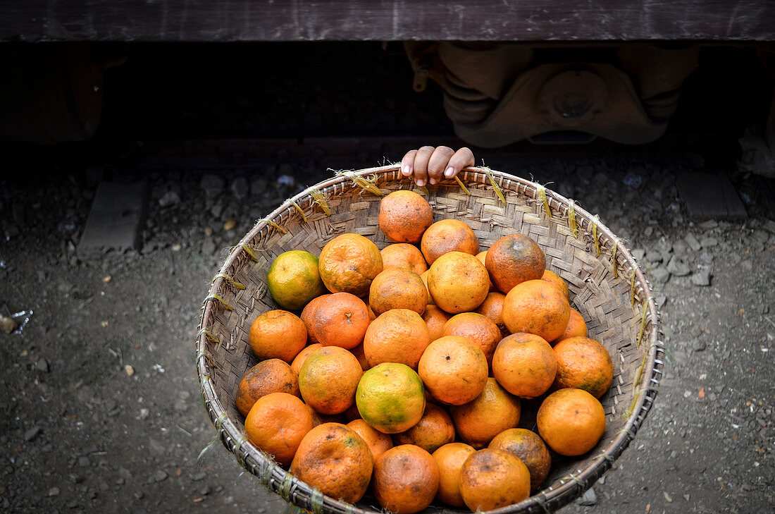 Korb mit Zitrusfrüchten in Myanmar
