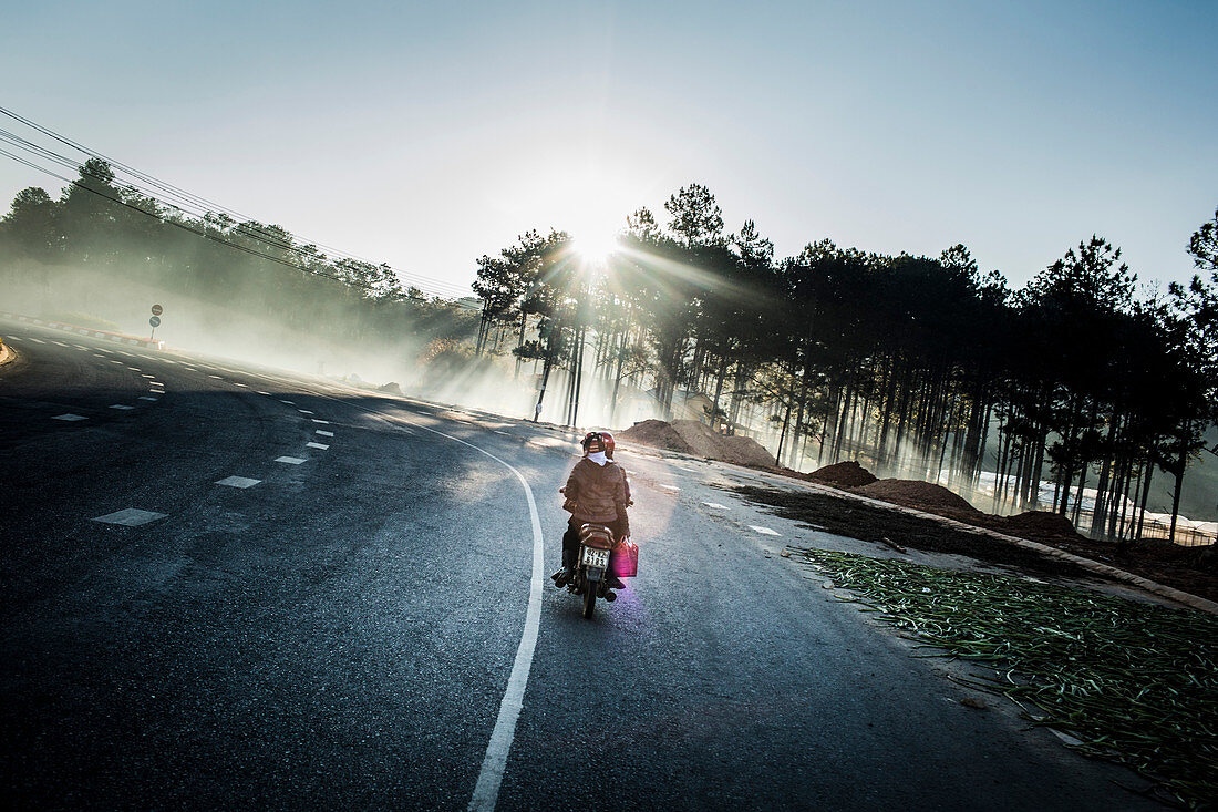 Motorrads fährt auf der Straße durch Wälder