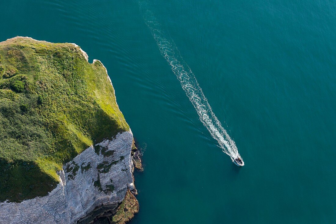 France, Seine Maritime, Etretat, Cote d'Abatre, Pointe de la Courtine (aerial view)