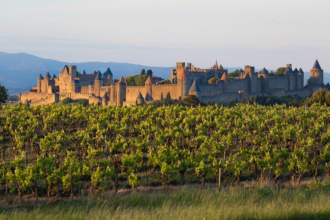 Frankreich, Aude, die ummauerte Stadt Carcassonne, UNESCO Weltkulturerbe