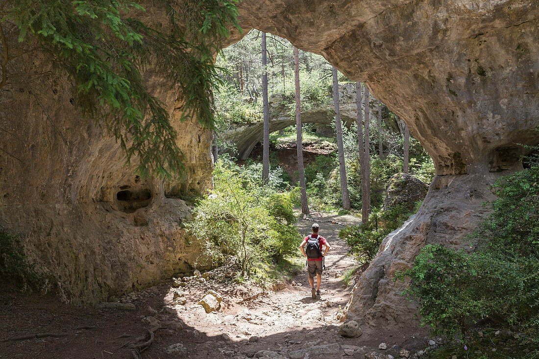 Frankreich, Lozere, St. Pierre des Tripiers, Les Arcs de Saint-Pierre, Causse Mejean