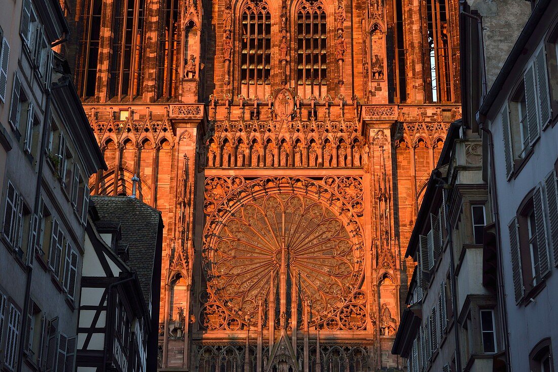 Frankreich, Bas Rhin, Straßburg, Altstadt, UNESCO Weltkulturerbe, Kathedrale Notre Dame