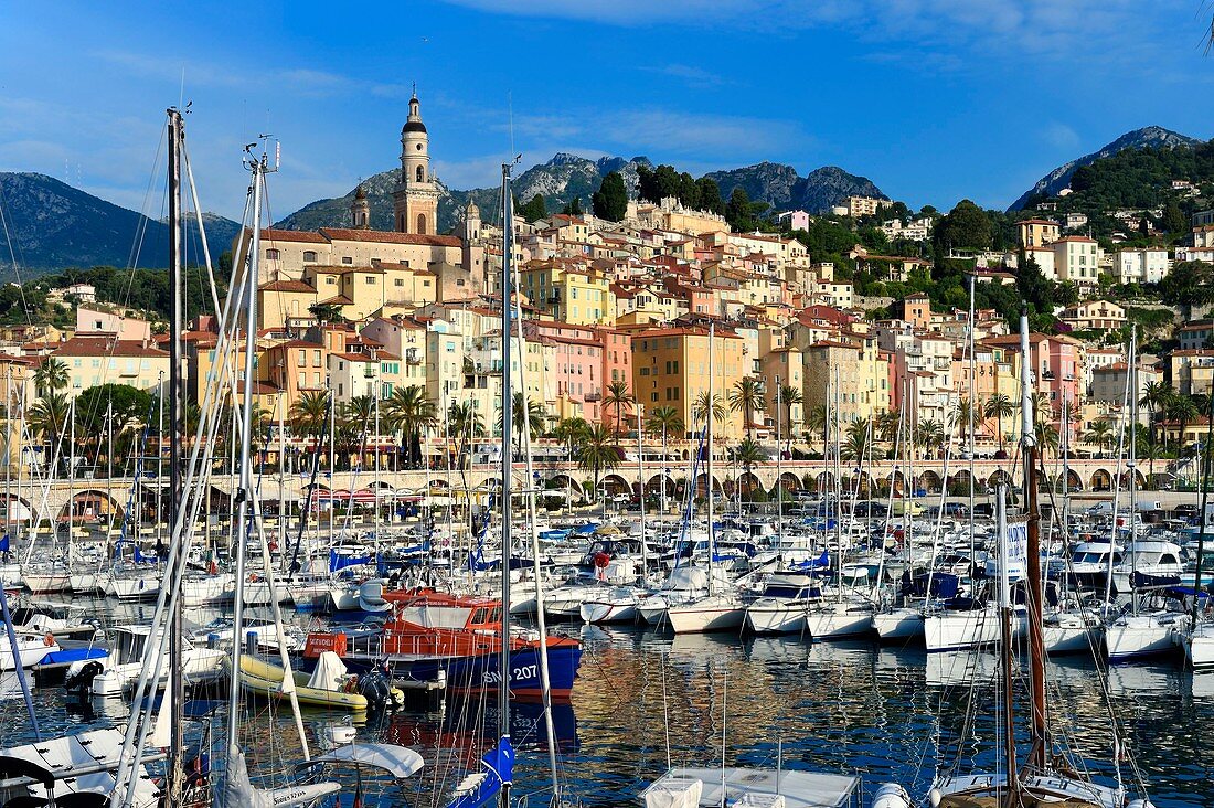 France, Alpes Maritimes, Menton, the port and the old town dominated by the St Michel Basilica