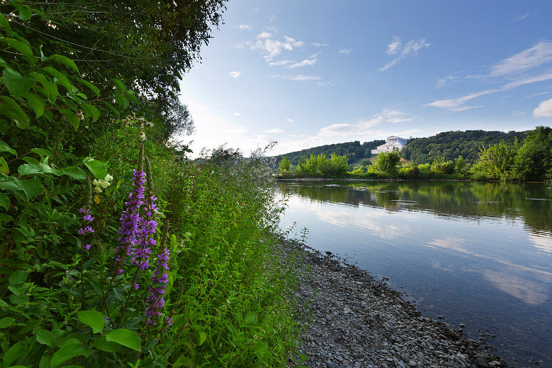 Blick über die Donau zur Walhalla bei Donaustauf, Donau, Bayern, Deutschland