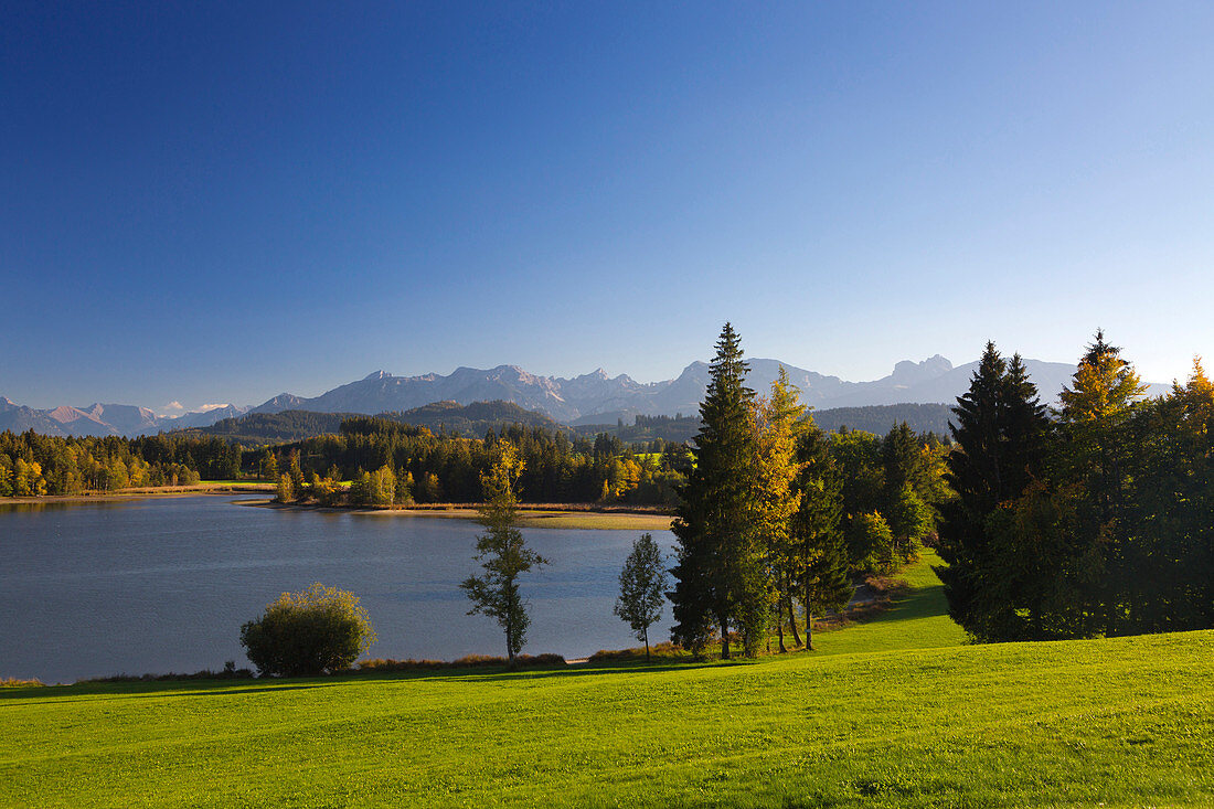 Blick über den Schwaltenweiher bei Seeg auf die Kette der Allgäuer Alpen, Allgäu, Bayern, Deutschland
