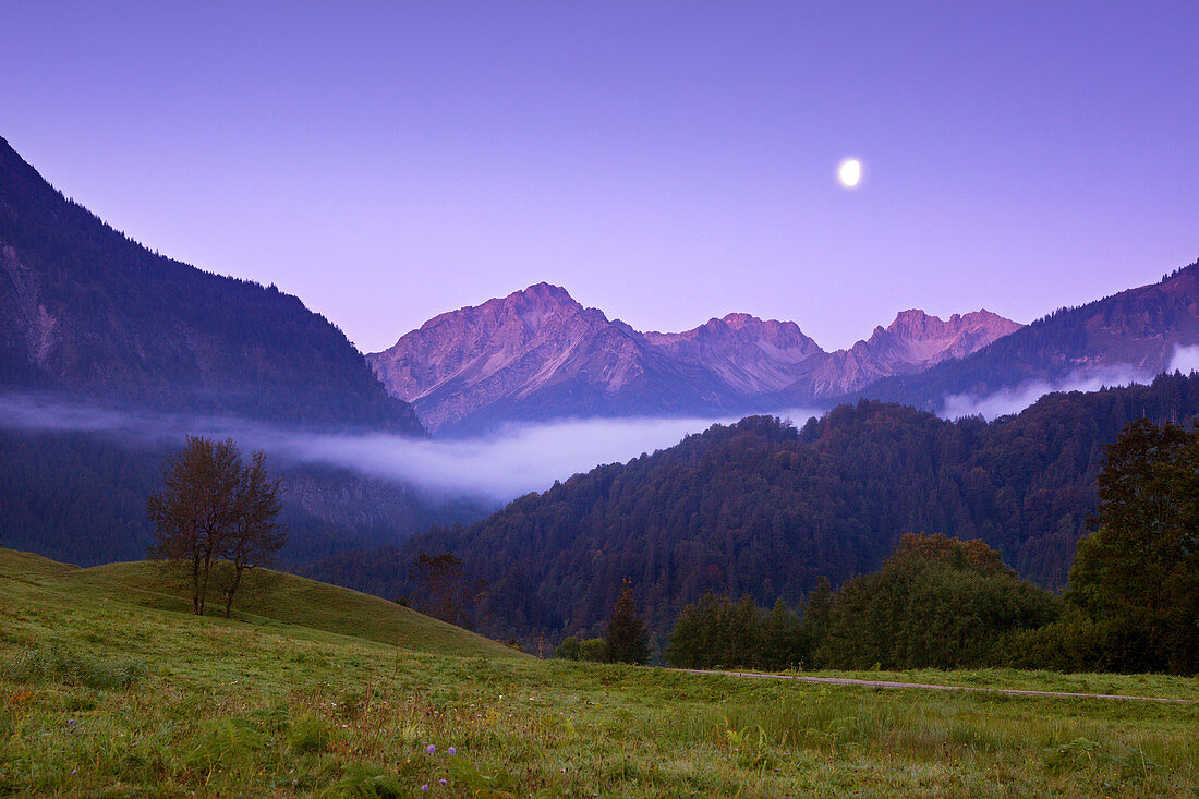 Morning mood with waning moon, Allgäu Alps, near Oberstdorf, Allgäu, Bavaria, Germany