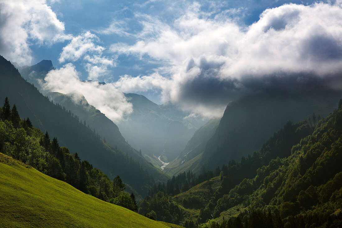 Fog on the mountain slopes, Trettachtal, Allgäu Alps, near Oberstdorf, Allgäu, Bavaria, Germany