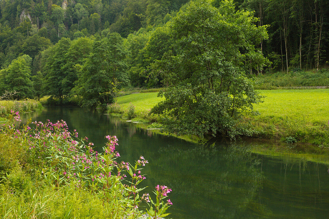 Valley of the Wiesent, Wiesenttal, Franconian Switzerland, Franconia, Bavaria, Germany