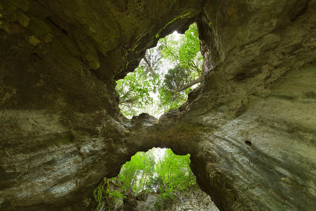 Versturzhöhle Riesenburg, im Tal der Wiesent, Wiesenttal, Fränkische Schweiz, Franken,Bayern, Deutschland